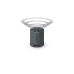 Sony SRS-XB100 Bluetooth Speaker Black - Powerful Sound & Compact Design for Ultimate Portability